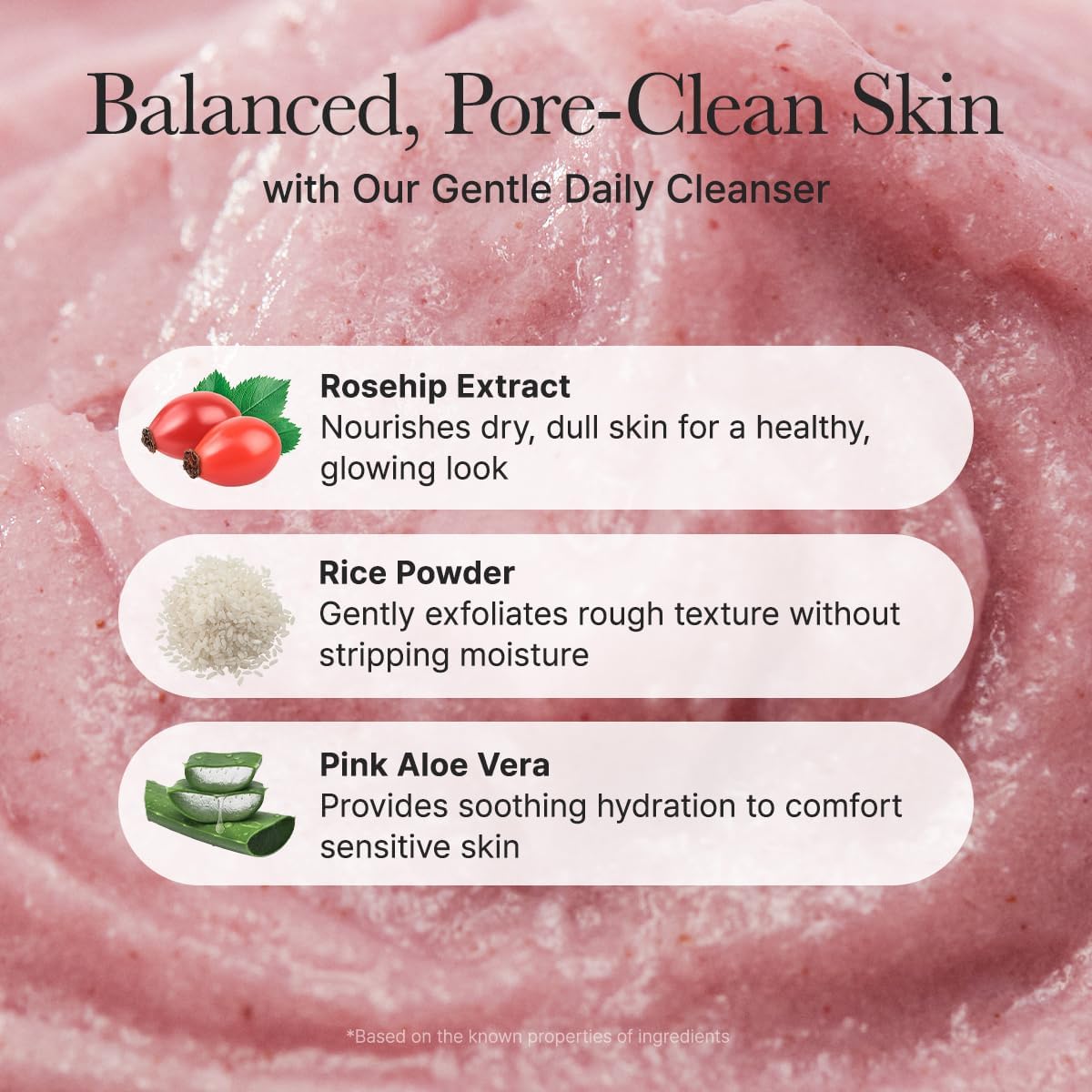 Arencia – Fresh Rosehip Rice Moshi Cleanser (120g)